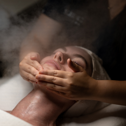 SleekCare Esthetician's Choice Facial